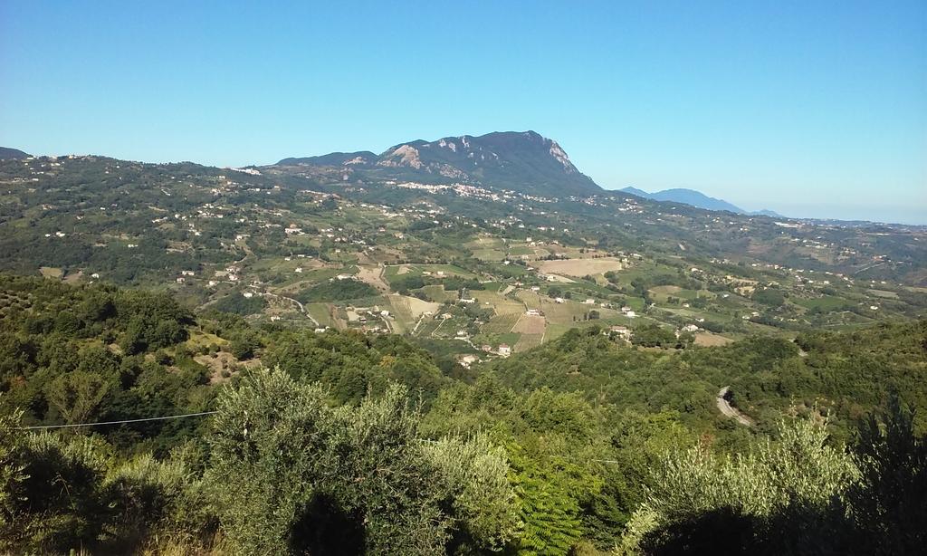 Agriturismo San Michele Paternopoli Экстерьер фото